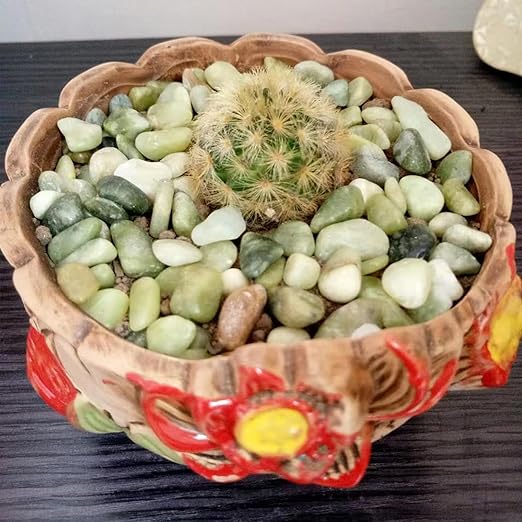 10LB Succulent Jade Pebbles for Landscaping, 3/8 Inch Natural Decorative Polished Stones, River Rocks for Landscaping, Vase, Flowerpot Decoration, Indoor Decoration and Garden Decoration