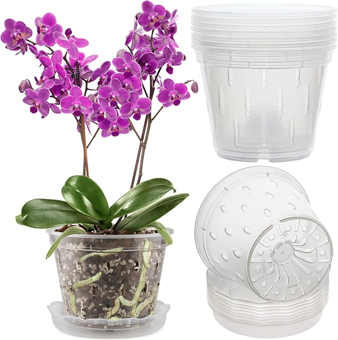 REMIAWY Orchid Pot, 8 Pack Orchid Pots with Holes and Saucers, 5.5 Inch Clear Plastic Flower Planters for Repotting Indoor Outdoor, Breathable Slotted Nursery Planter