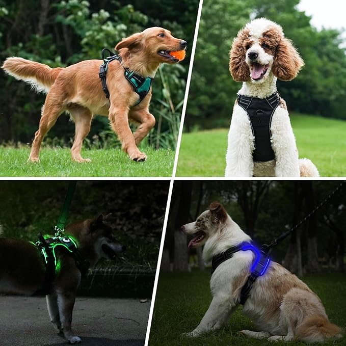 Taglory Light Up Dog Harness, Rechargeable No Pull Dog Vest with 3 Lightning Modes, Reflective Dog Harness with 2 Leash Clips & 4 Adjustable Slide Strips for Large Dogs, Orange-Orange, L