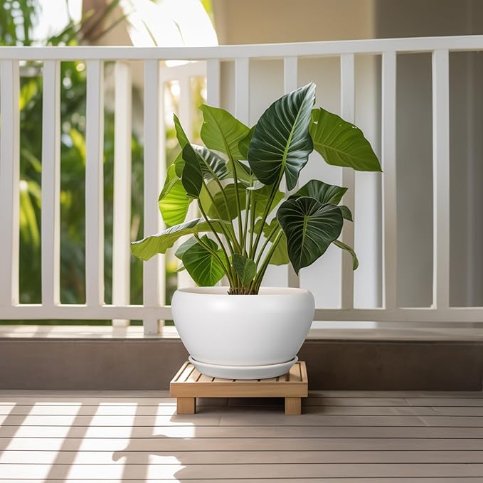 Ceramic Planter for Indoor Plants - 11 Inch Plant Pot with Drainage Hole and Saucer Decorative Round Large Planter Pot for Plants Outdoor Flower Pot for Garden White