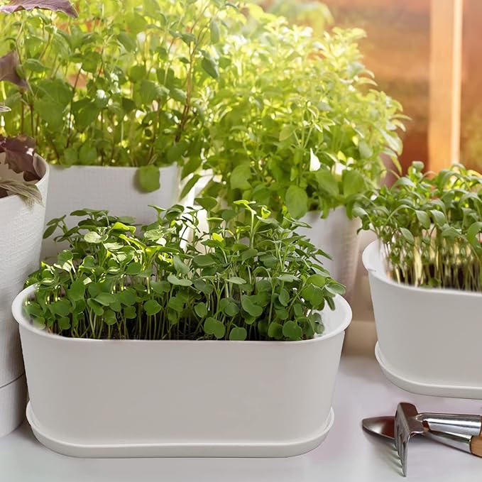 5-Pack Herb Planter,Window Boxes Planters with Multiple Drainage Holes,8.5" x 3.3" Oval Herb Garden Planter indoor/outdoor for Grow Plants, Flowers or Succulents, Deck Railing Window Planter Box