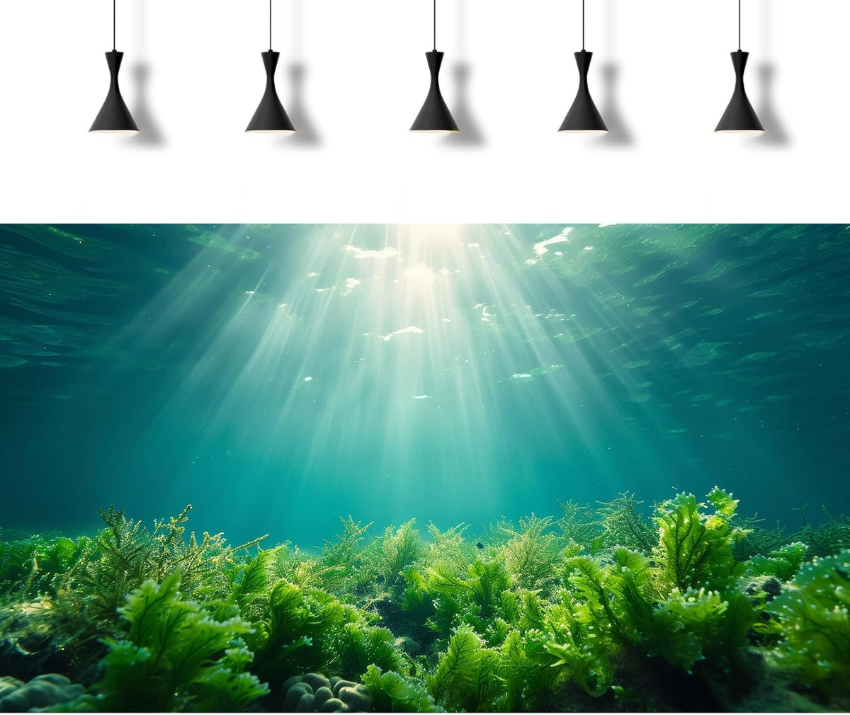 Deep Ocean Fish Tank Background Under The Sea Aquatic Plants Aquarium Background Underwater Corals Sunray Terrarium Backgrounds Tropical Fish Ocean World Aquarium Backgrounds Decorations 24x12in