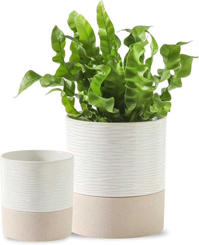 Nihow Self Watering Plant Pot for Indoor Plants: 4.5+6 Inch Ceramic Planter with Drainage Hole & Water Storage Plus - Cylinder Flower Pot with Wick for Herbs -White & Brown