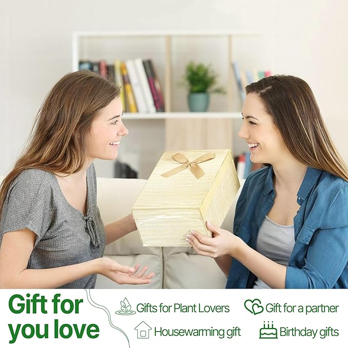 Plant Propagation Stations Heart Plant Terrarium Kit Gift for Women Plant Lover Glass Vases
