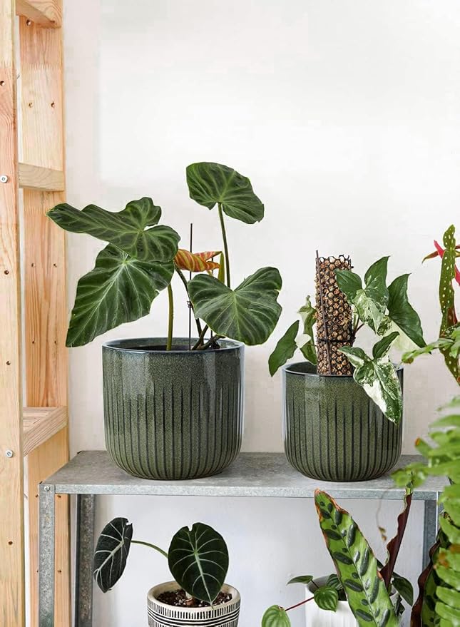 LE TAUCI Fluted Ceramic Planters Set of 3 – 8.3/7 / 5.7 in Dark Olive Reactive Cylinder Indoor Plant Pots with Drainage Plug & Mesh, Glossy Stoneware Flower Pots for Succulents Herbs