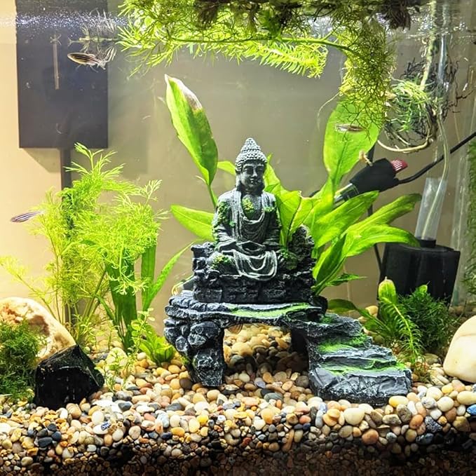 River Rocks 10 Lbs,0.4-1.2 Inch Pebbles for Indoor Plants, High Polished Stones for Garden Landscaping, Smooth Gravel Filler for Outdoor Plants, Succulents, Fish Tank and Vases