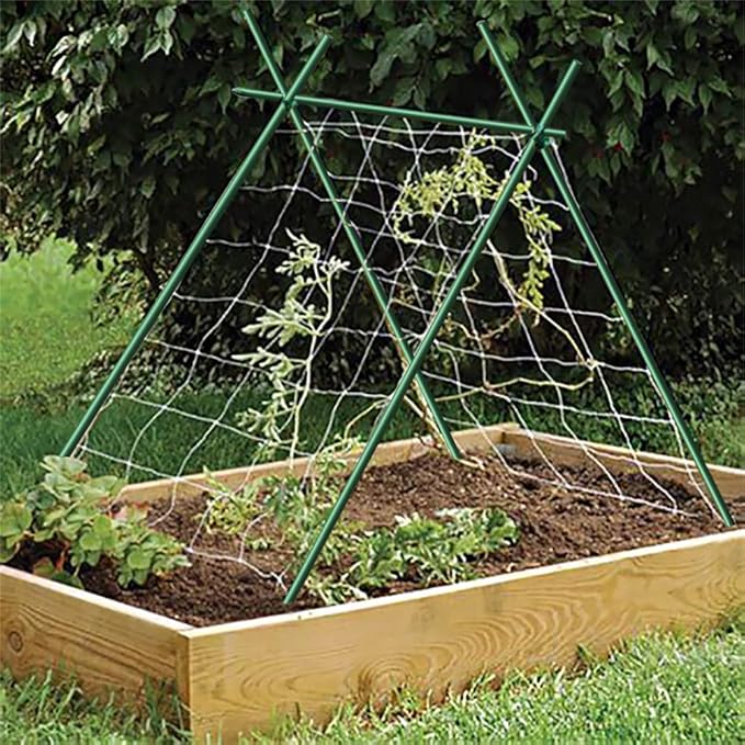 Garden Stakes 3/8" Dia 6 FT FRP Plant Supporting Stakes for Climbing Tomato Cucumber Strawberry Bean Tree, Pack of 10, Dark Green