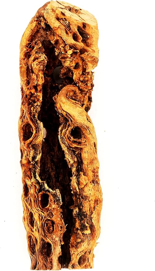 Natural Cholla Wood Chunk Large Air Plant Display Holders Individually Unique Decorative Stands or Holder (Cholla Chunk Extra Large)