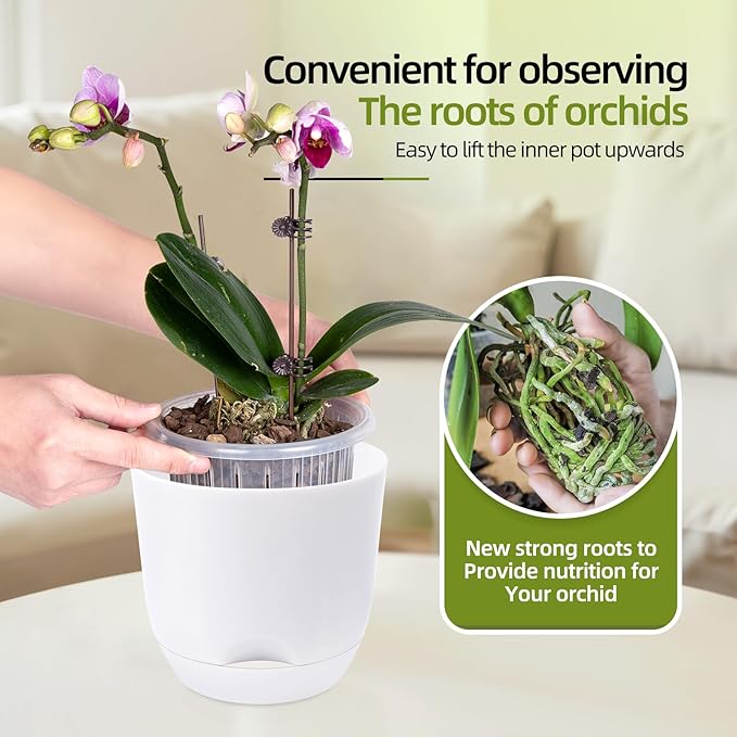QCQHDU 2 Pack Orchid Pots with Holes for Repotting, Double-Layer and Self Watering Orchid Pot with Good Air Circulation