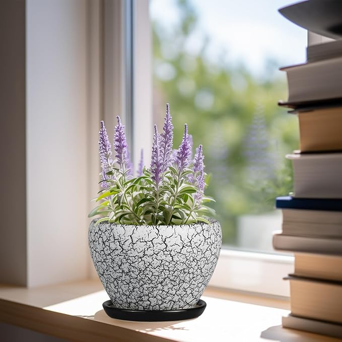 Ceramic Planter Pot - 6 Inch Plant Pot with Drainage Hole and Saucer, Succulent Pot Glaze Round for Indoor Outdoor Plants, White and Black