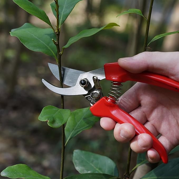 BUGUI Pruning Shears Garden Shears - Premium Alloy Steel Bypass Pruner, Precision-ground Blades, Heavy Duty Gardening Tools, 7" (H201)