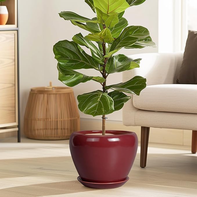 Ceramic Planter - 8 Inch Plant Pot Indoor with Drainage Hole and Saucer Planter for Outdoor Plants Round Flower Pot for House Patio Decor Red