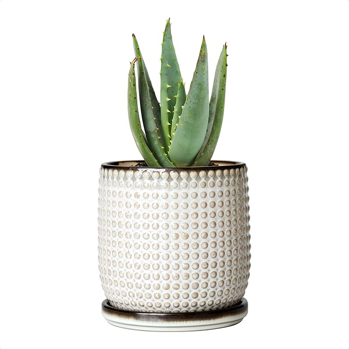 D'vine Dev 4 Inch Ceramic Beaded Stoneware Planter Pot - Flower Pot with Drainage Holes and Saucers for Indoor Succulent Plants or Flowers, Smoked White, 27-C-Z-1