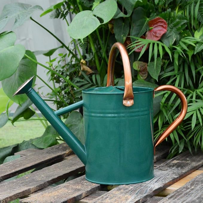 Steel Watering Can Sliver Galvanized Steel Watering Can with Copper Accents,Removable Rosette-Diffuser,One-Gallon Green