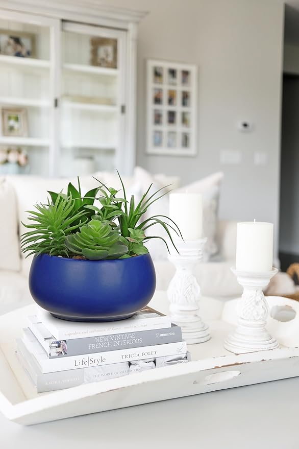 Fake Plants Artificial Succulents in Pots Faux Succulent Arrangement Potted Plant in Blue Ceramic Planter Bowl for Home Decor Office Desk Bathroom Shelf Living Room Indoor Decorations