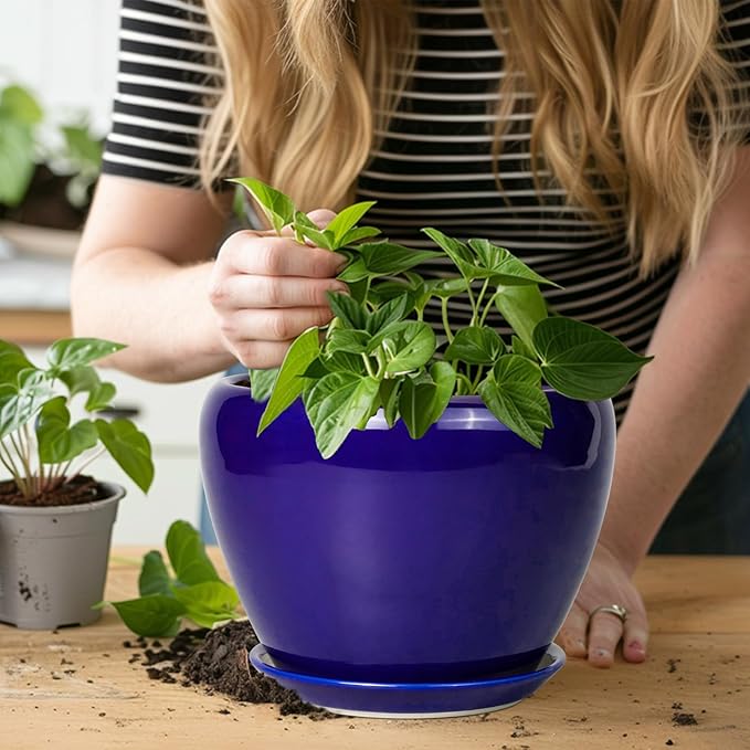 Ceramic Plant Pot 8 Inch - Planter for Outdoor Plants Indoor Plant Pot with Drainage Hole and Saucer Decorative Round Planter Modern Flower Pot for House Decor Blue