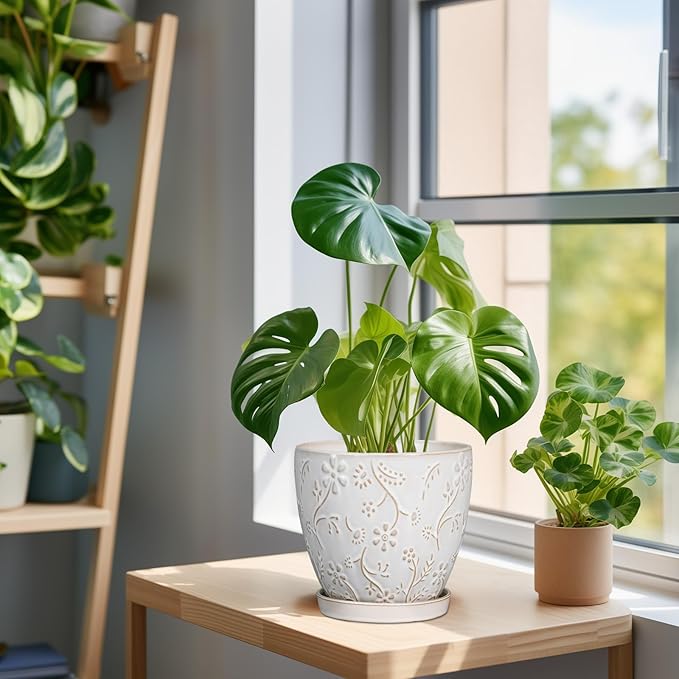 6 Inch Ceramic Plant Pot for Indoor Plants Outdoor Round Planter Flower Pot with Drainage Hole and Saucer for Home Garden Office Decor White