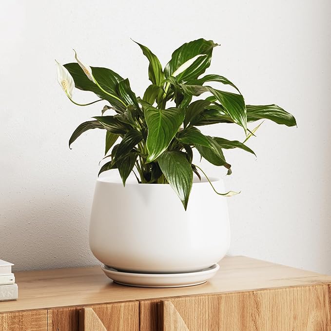 LE TAUCI Ceramic Planter, 10 Inch Plant Pot with Drainage Hole & Saucer – Durable Indoor Planter for Modern Home Decor, White