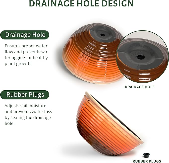 10 Inch Hanging Planter, 2 Pack Hanging Planters for Indoor Outdoor Plants Self Watering Hanging Pots with Drainage Holes for Garden Home