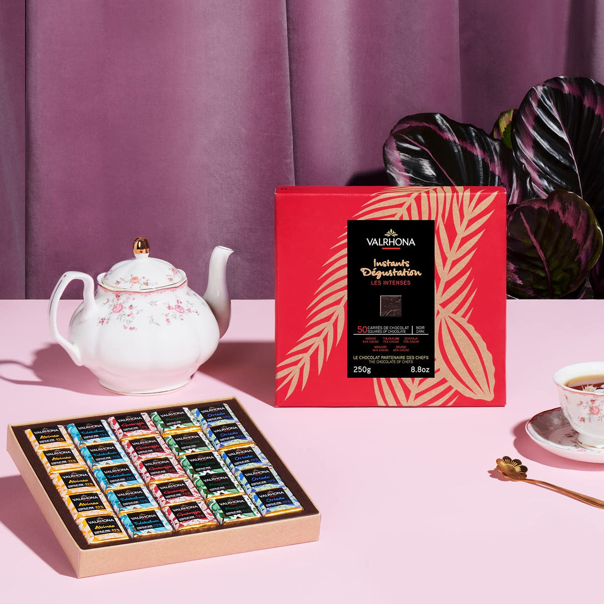 Valrhona Premium 50 Dark Chocolate Squares Gift Box - Abinao 85%, Tulakalum 75%, Guanaja 70%, Manjari 64%, Oriado 60%, Holiday Chocolate Gift, Gourmet