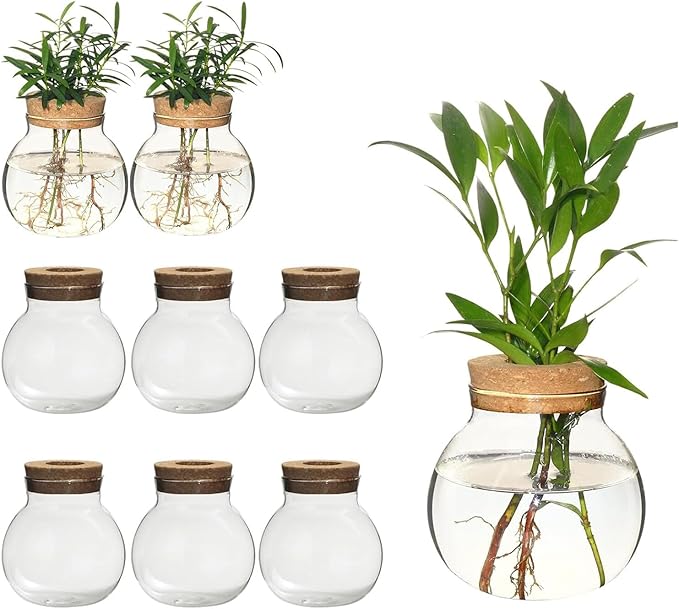 Plant Propagation Station,Hydroponic Terrarium Vase,Desktop Glass Planter Station,for Houses,Garden Decorations,ropagating Hydroponic Plants,Centerpiece Office,Home Garden Decor (9)