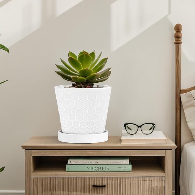 BUYMAX Plant Pots Indoor –6 inch Ceramic Flower Pot with Drainage Hole and Ceramic Tray - Gardening Home Desktop Office Windowsill Decoration Gift, Set of 2(White)
