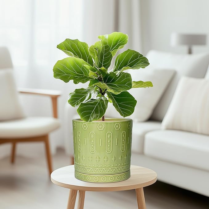 8 Inch Plant Pots - Ceramic Planter for Indoor Plants Outdoor, Round Ceramic Flower Pots with Drainage Hole and Saucer, Boho Decorative Planter, Home Bedroom Decor, Birthday Gifts, Green