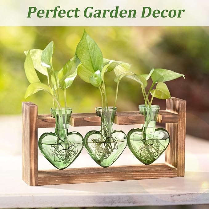 Lifecapido Heart Shaped Propagation Stations, Plant Terrarium with Wooden Stand, Plant Propagation Station for Hydroponics Office Garden Home Decor, Gifts for Women Plant Lover (3 Vases, Mint Green)