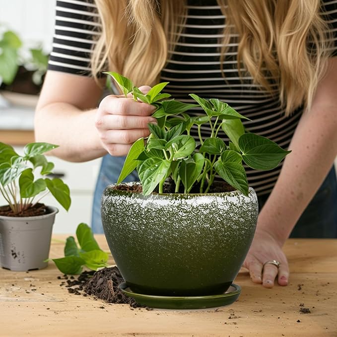6 Inch Plant Pot - Ceramic Planter Pot with Drainage Hole and Saucer, Glaze Succulent Pot Modern Round Flower Pot for Indoor Plants, Dark Green