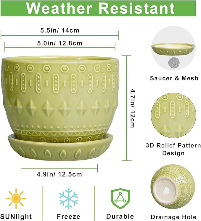 G EPGardening Ceramic Planter 5.5 Inch - Boho Plant Pot Indoor with Drainage Hole and Saucer, Round Flower Succulent Pot for Plants, Plant Lovers Gifts, Garden Office House Decor, Green