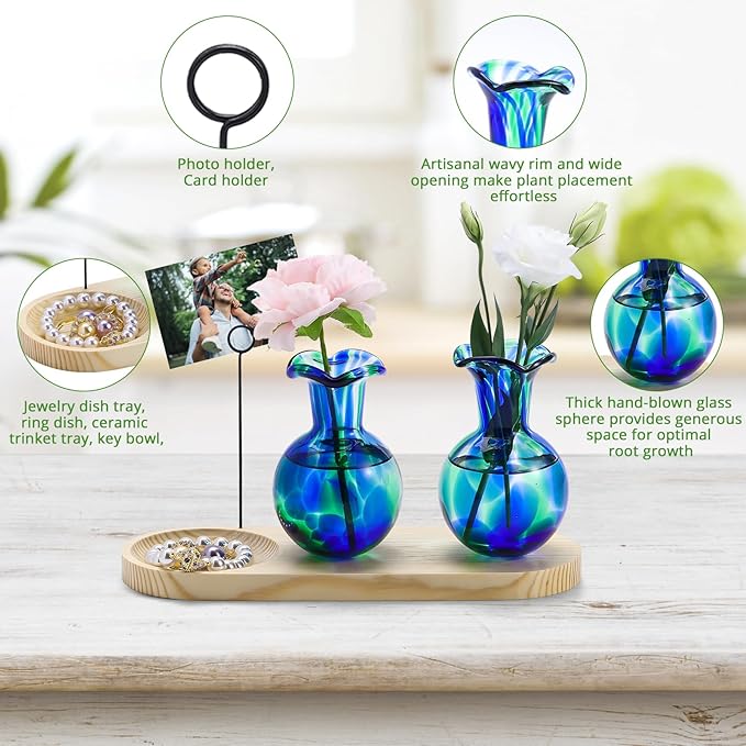 Hand Blown Glass Plant Propagation Stations Plant Terrarium Wooden Stand for Hydroponic Plants Combine Jewelry Tray and Photo Holder Office Home Garden Decor - 2 Bulb Glass Vases