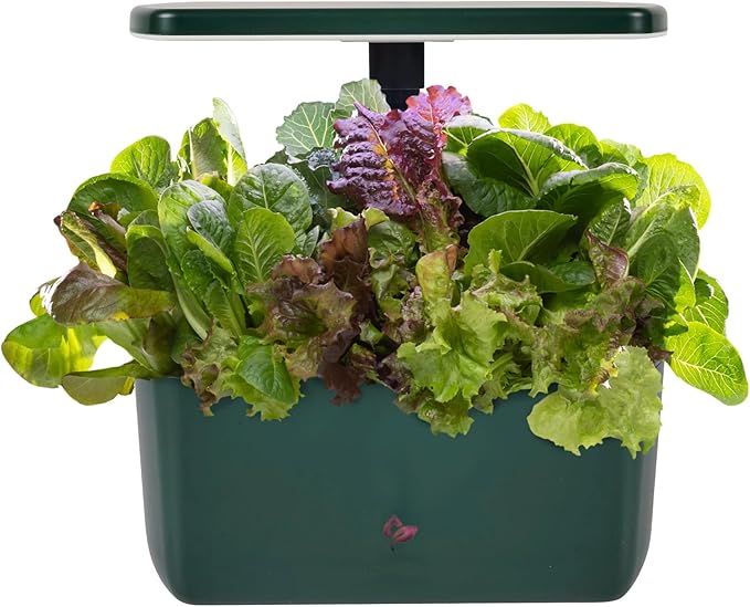 AeroGarden Harvest 2.0, Indoor Garden Hydroponic System with LED Grow Light, Holds up to 6 AeroGarden Pods, Green