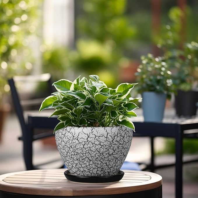 Ceramic Planter Pot - 6 Inch Plant Pot with Drainage Hole and Saucer, Succulent Pot Glaze Round for Indoor Outdoor Plants, White and Black
