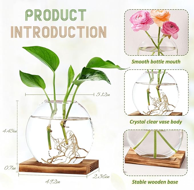 4 Pack Plant Propagation Station with Wooden Base Glass Terrariums for Indoor Plants Decorative Round Vases for Flowers Hydroponic Planter for Home Office Decor