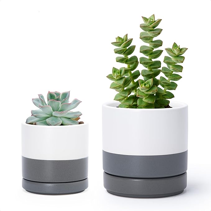 D'vine Dev 3.5 Inch & 4.7 Inch Ceramic Planter Pots for Plants with Drainage Hole and Saucer, X-Small Plant Pots Set, White/Speckled Grey, 94-G-XS-6