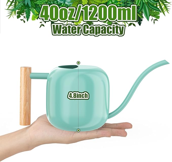 Green Moon Water Can Indoor Plant Mint Green 1.2L/41oz Metal Stainless Steel Water Can Indoor Outdoor with Long Spout for House Plant Bonsai Outdoor Garden Flowers