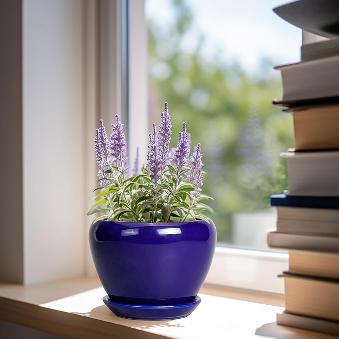 6 Inch Plant Pot - Ceramic Pots for Plants Succulent Pot with Drainage Hole and Saucer Round Planter Outdoor Flower Pot for Herb Snake Plants Blue