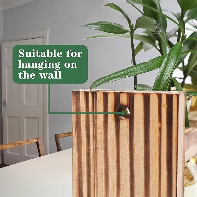 Plant Terrarium Propagation Stations Hydroponics Home Garden Decoration Gift for Women with Wooden Stand Heart Shaped Colored Glass Vase