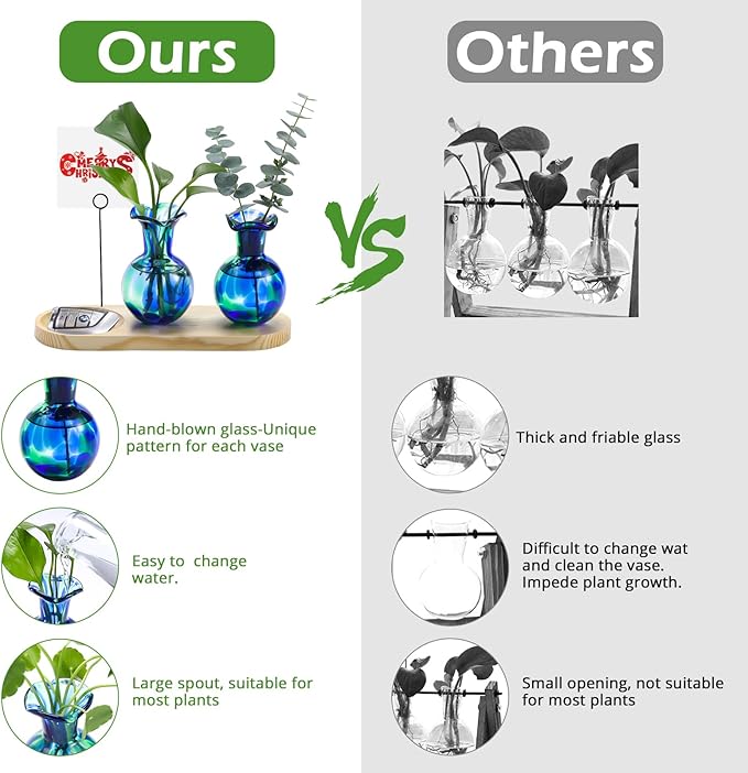 Hand Blown Glass Plant Propagation Stations Plant Terrarium Wooden Stand for Hydroponic Plants Combine Jewelry Tray and Photo Holder Office Home Garden Decor - 2 Bulb Glass Vases