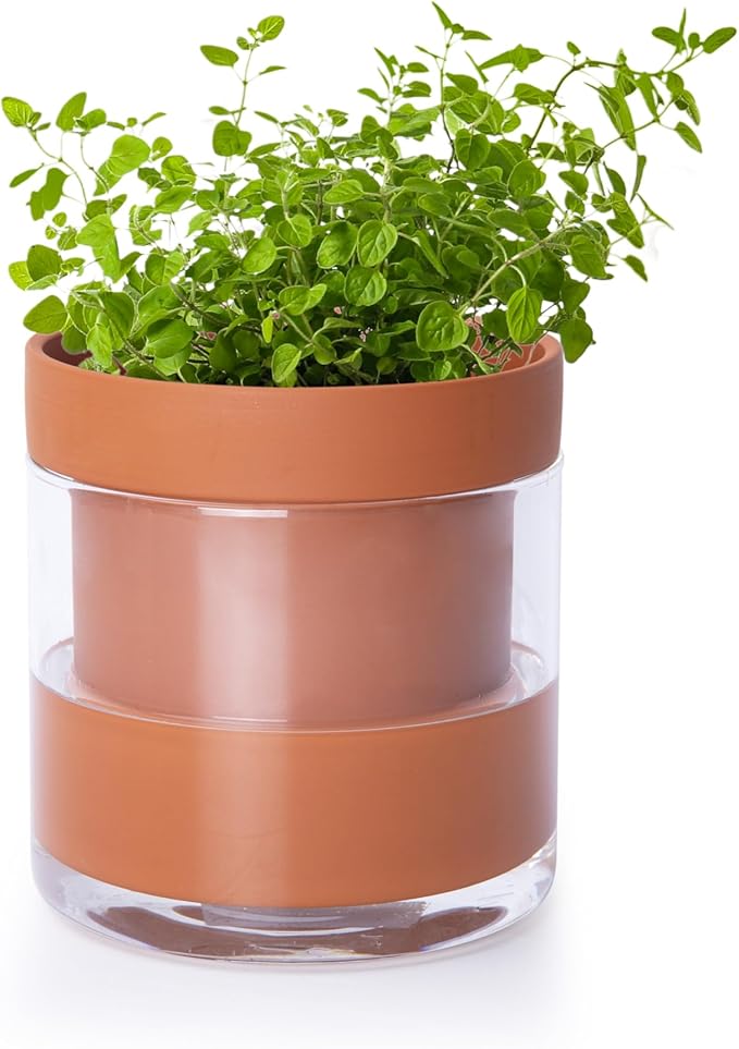 Phoenix Vine 4 Inch Self Watering Planter Pot, Terracotta Clay Pot with Glass Reservoir for Indoor Plants, Herbs, Flowers, Set of 1, 52-A-E-1