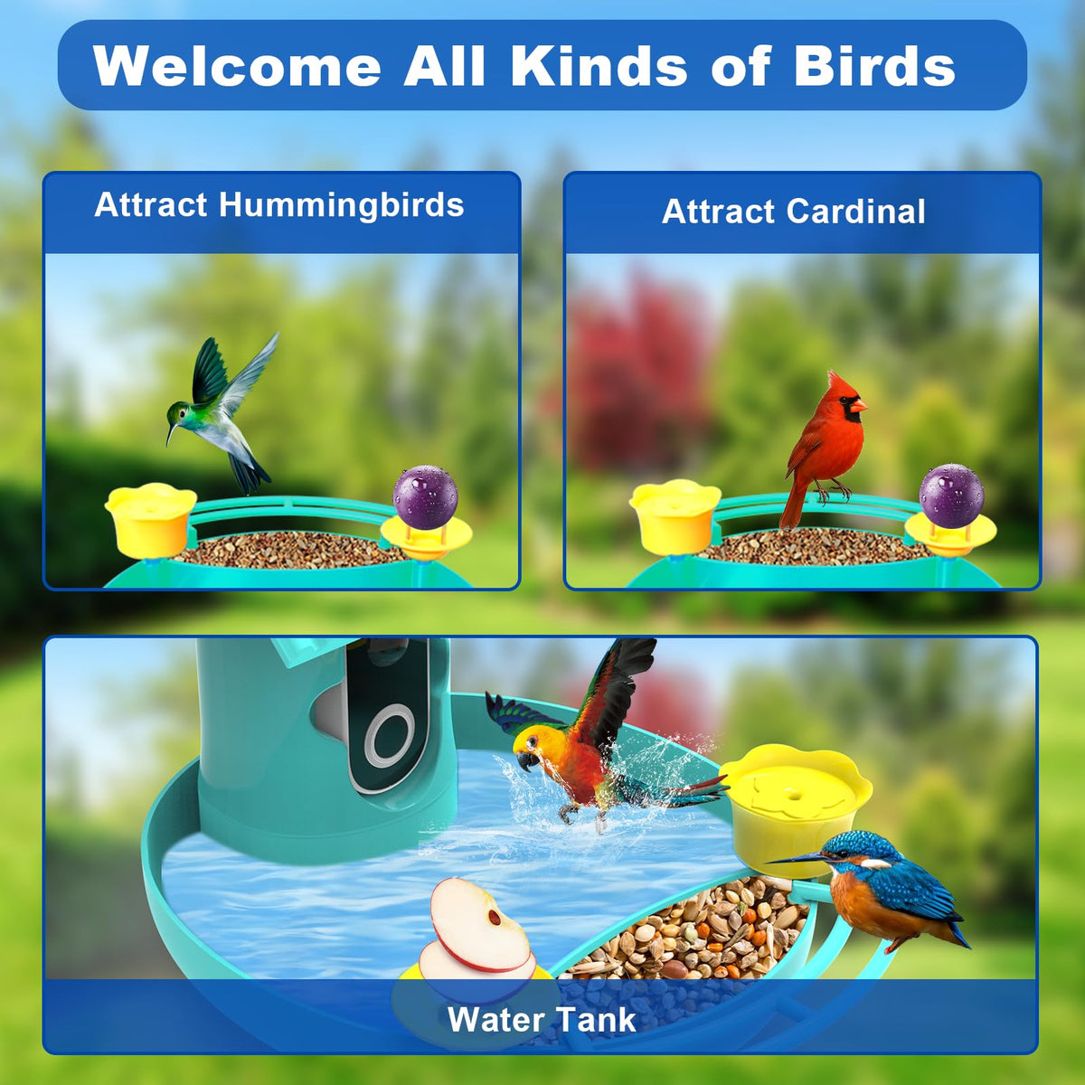 Bird Feeder with Camera - 4K HD Live View, Smart Bird Feeder Solar Powered, AI Recognition Auto Capture Video, 3-in-1 Feeding & Bathing & Hummingbird, Outdoor Garden Bird House (Blue)