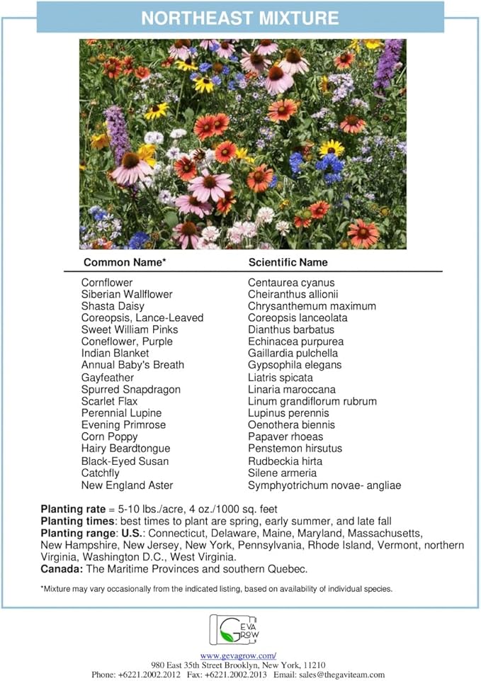 Regional Wildflower - Northeast USA Wildflowers - 100% Pure Seed - Organic, Non-GMO - 21 Wildflower Variety Seeds of Annual & Perennial, 1 LB Tub