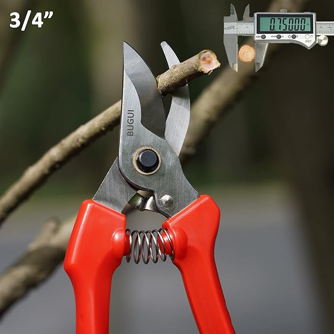 BUGUI Pruning Shears Garden Shears - Premium Alloy Steel Bypass Pruner, Precision-ground Blades, Heavy Duty Gardening Tools, 7" (H201)