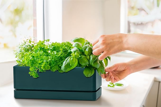 D'vine Dev 12 Inch Window Box Planter, Rectangle Plastic Herb Planter with Drainage Holes and Saucer, Indoor Succulent Cactus Vegetable Pot for Windowsill, Garden Balcony, Green, Set of 2, 76-X-C-2
