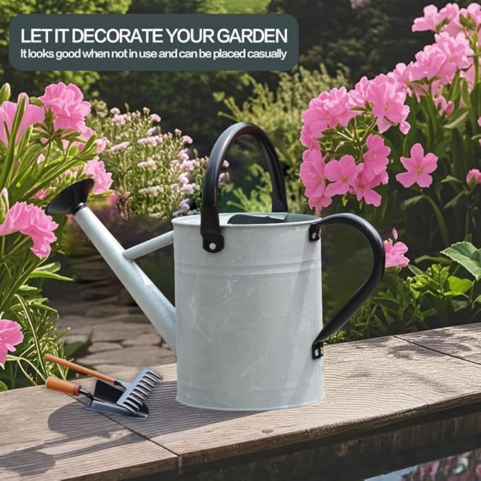 Metal Watering Can, One Gallon Watering Cans Stainless Steel for Outdoor Indoor Garden Plants Watering (Silver 1 Gallon)