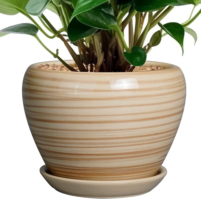 6 Inch Plant Pot Ceramic - Decorative Planter for Indoor Plants Succulent Pot with Drainage Hole and Saucer Round Planter Outdoor Flower Pot for House Patio Yellow