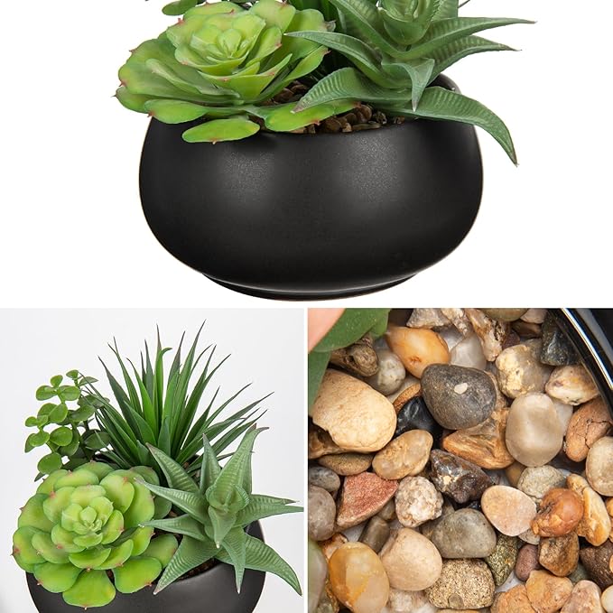 Fake Plants Artificial Succulents in Pots Faux Succulent Arrangement Potted Plant with Black Ceramic Pot for Home Decor Modern Office Desk Bathroom Shelf Living Room Indoor & Outdoor Decoration