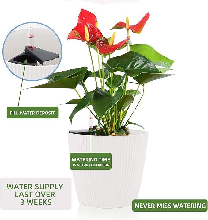 Dexceder 9x8 Self Watering Planters Indoor, Inner Mat Design, Table Flower Plant Pot with Water Level Indicator (2 Pack, White)