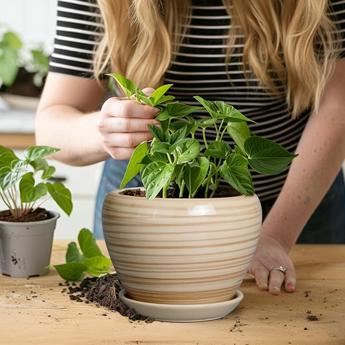6 Inch Plant Pot Ceramic - Decorative Planter for Indoor Plants Succulent Pot with Drainage Hole and Saucer Round Planter Outdoor Flower Pot for House Patio Yellow