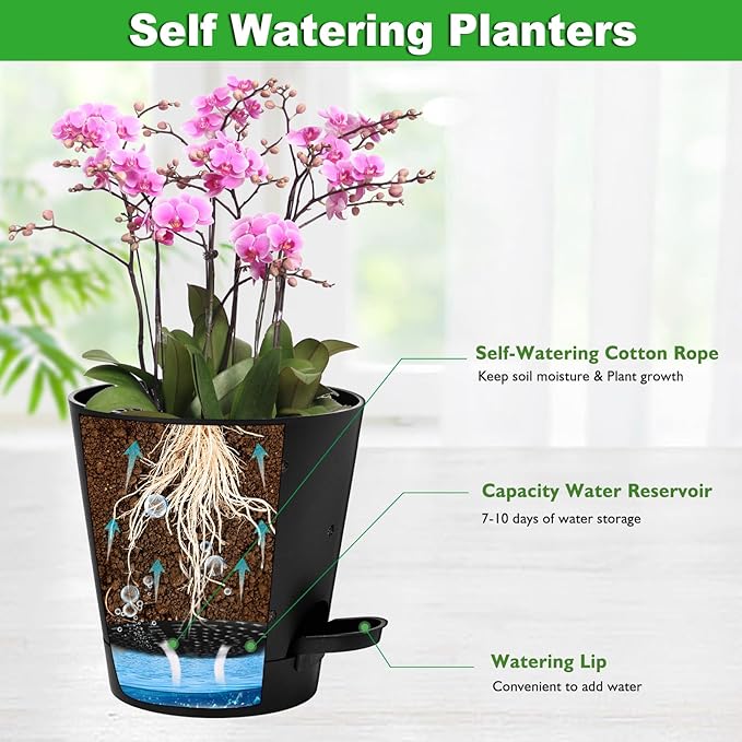 Orchid Pots with Holes, 6 Inch Self Watering Orchid Pot 2 Pack Plastic Plant Pots for Orchid, Flower (Black)